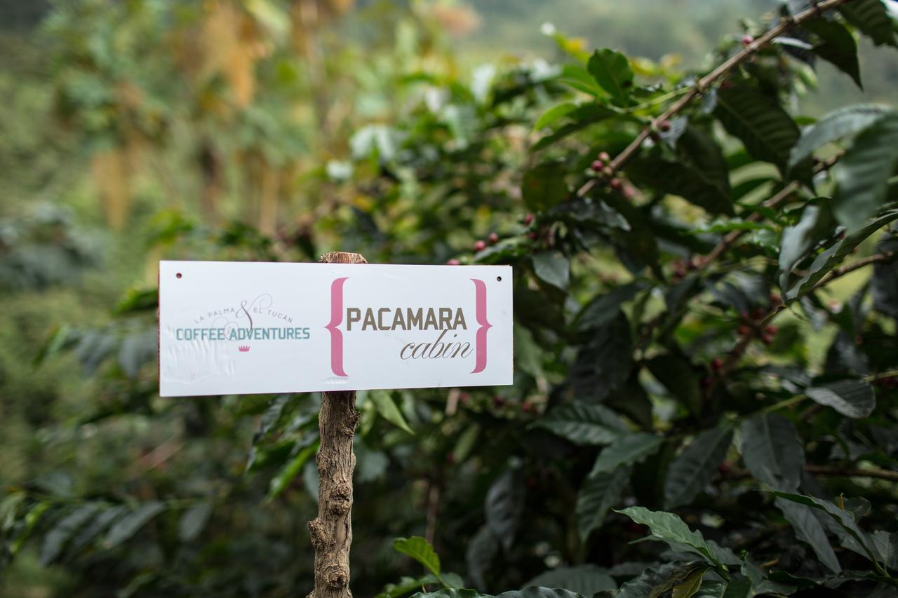 Coffee & Adventure Hotel By La Palma Y El Tucan Zipacon Exterior photo