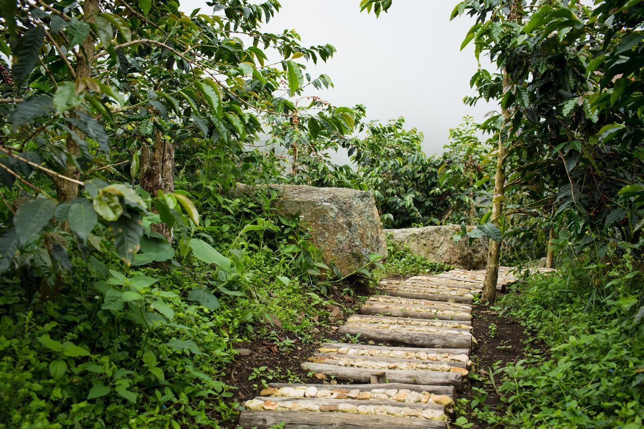 Coffee & Adventure Hotel By La Palma Y El Tucan Zipacon Exterior photo